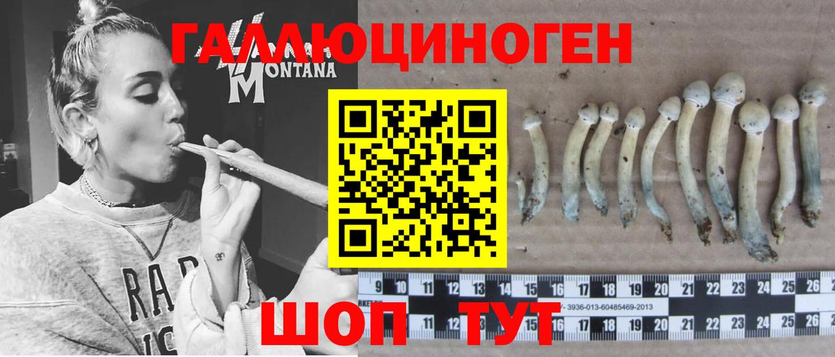 Кимовск  Псилоцибиновые грибы Cubensis  Вход с VPN 