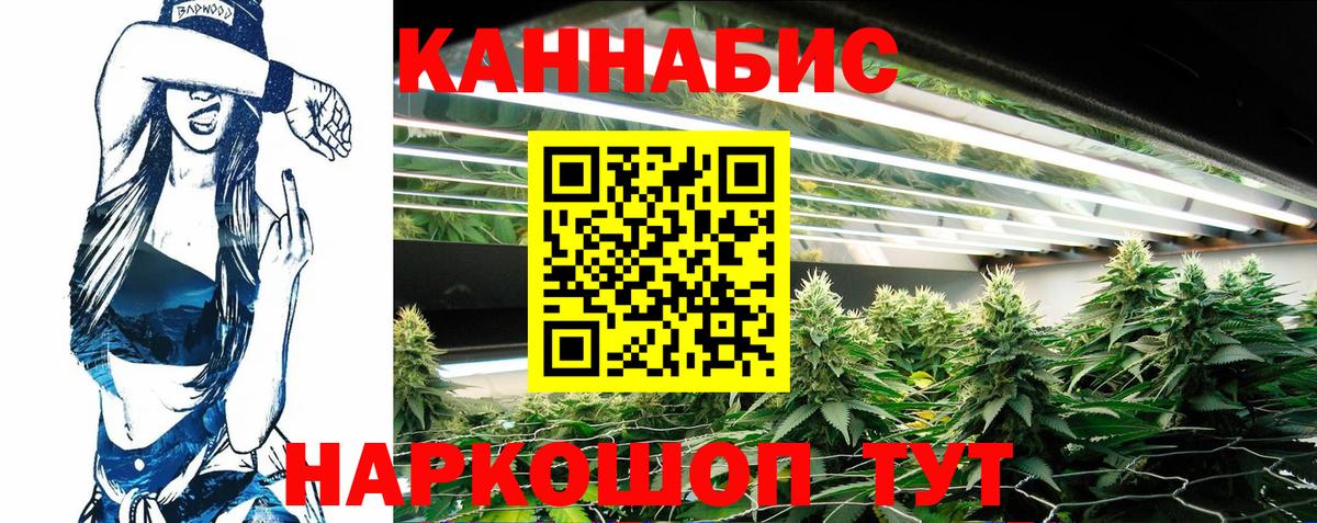 Канабис тримм  Шишки марихуана ГИДРОПОН  МАРИХУАНА SATIVA & INDICA  Вход с VPN  Кимовск 